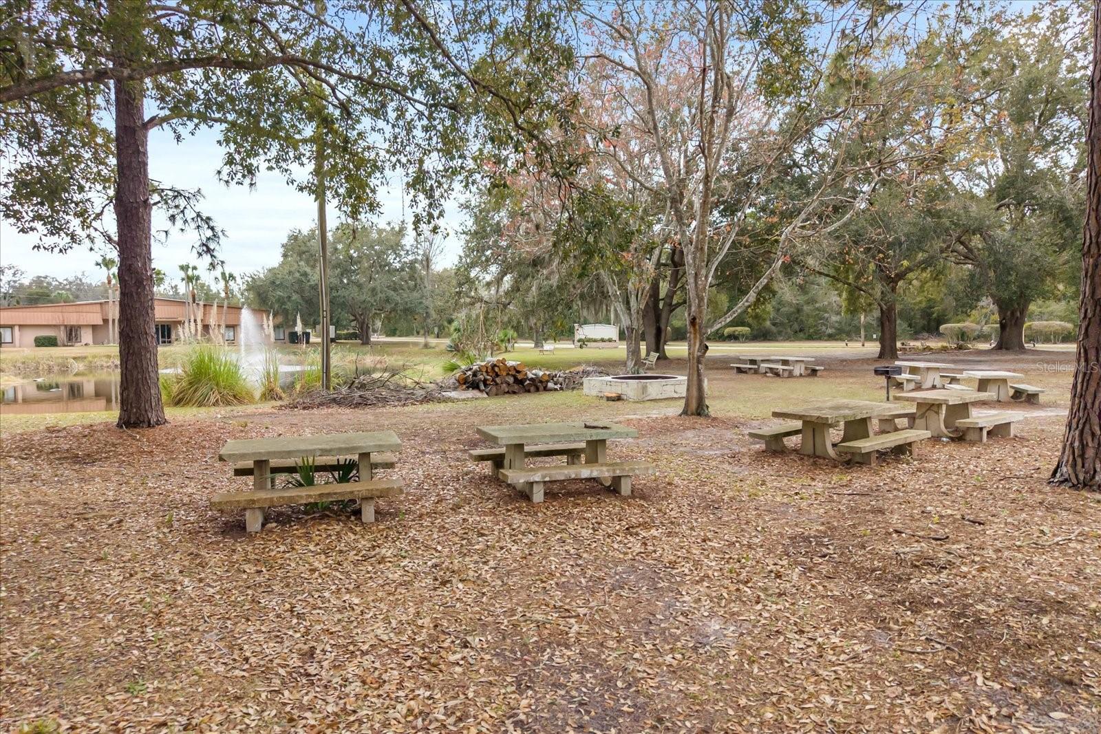 DORA PINES SUB - Residential