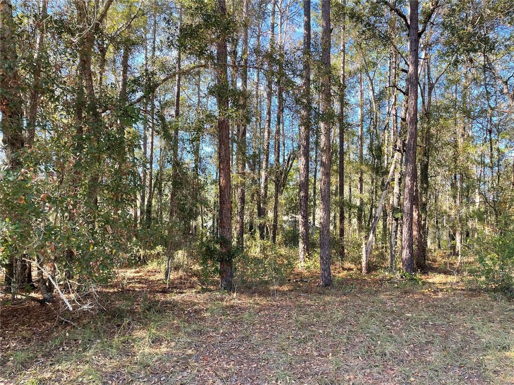 Photo of 10380 N Sherman Drive, Citrus Springs, FL 34434 (MLS # OM702364)