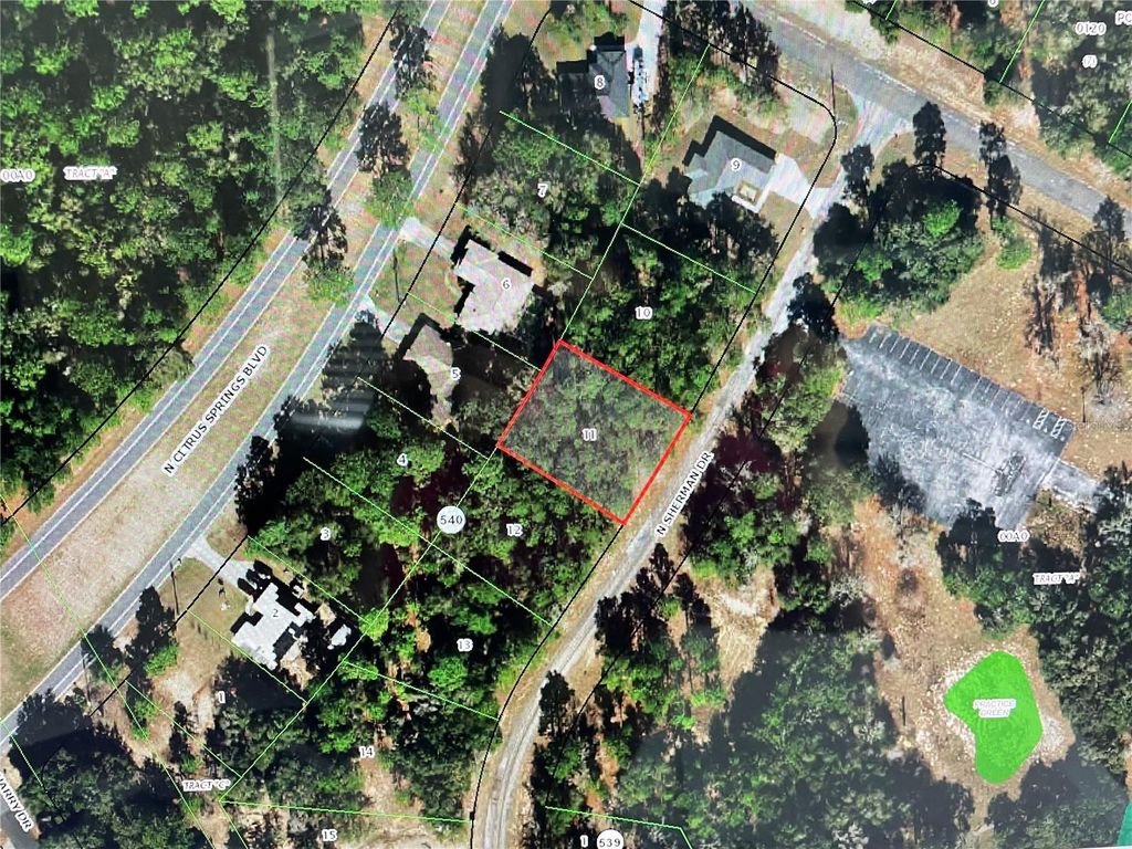 Photo of 10380 N Sherman Drive, Citrus Springs, FL 34434 (MLS # OM702364)