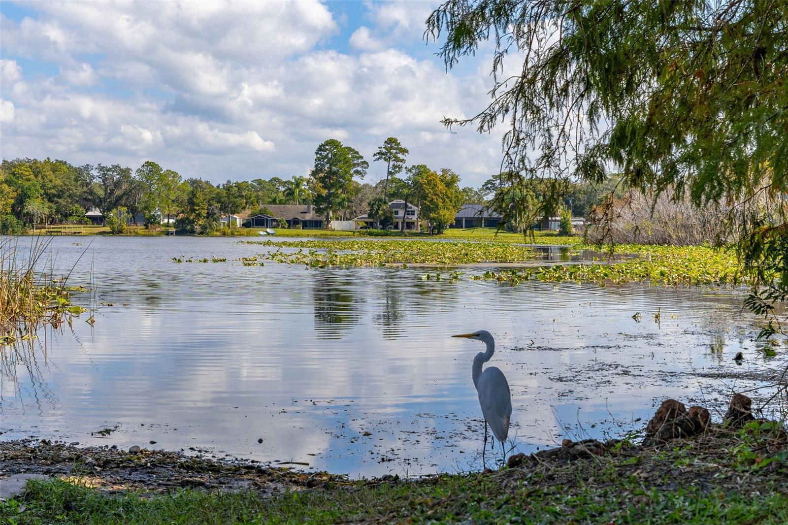 GOLF COURSE ADD - Residential