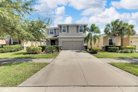 A home in APOLLO BEACH