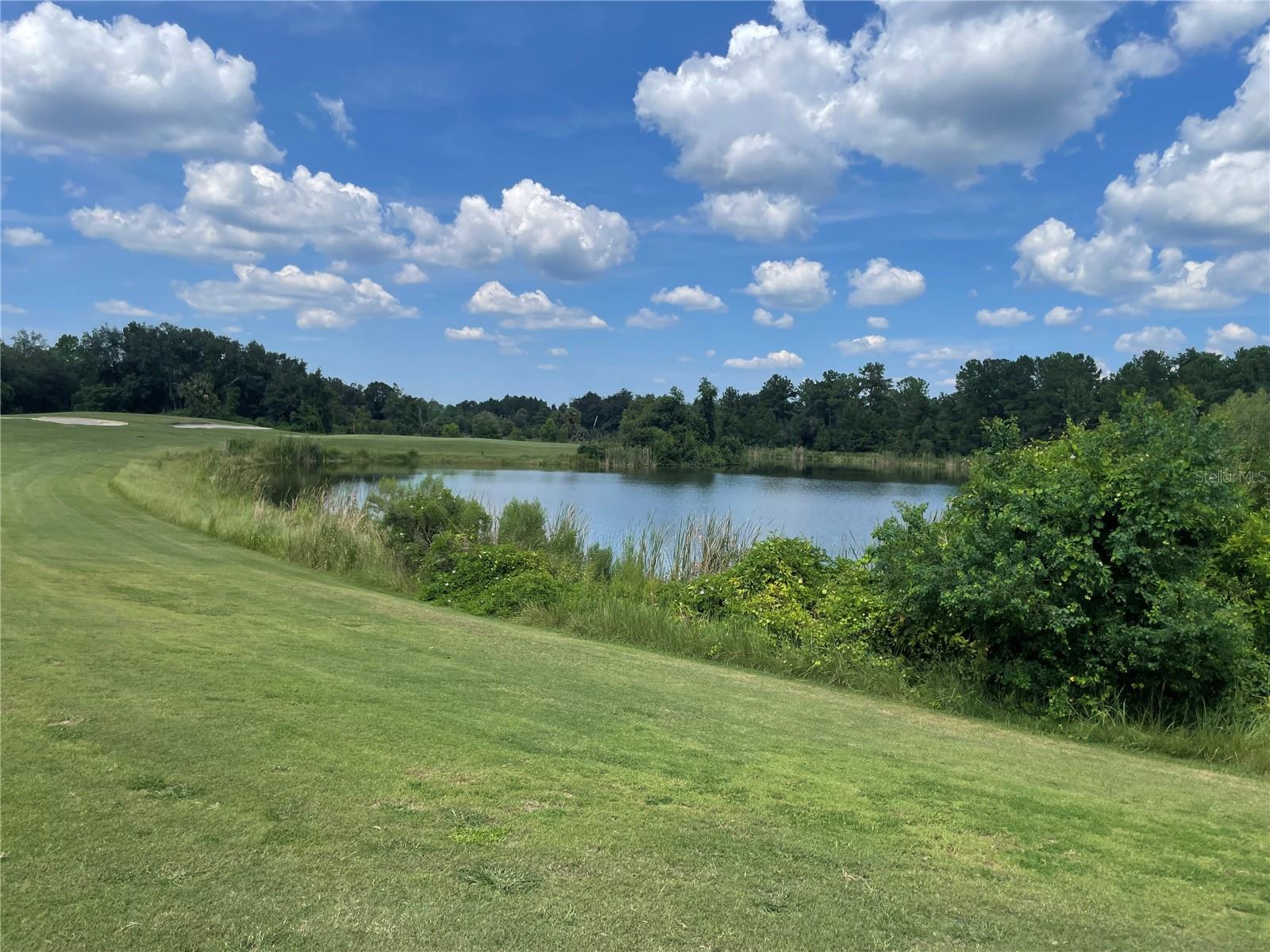 LIVE OAK VILLAGE CONDO - Residential