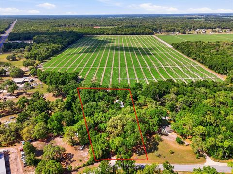 Tiny photo for 7651 NW 153rd Lane, Chiefland, FL 32626 (MLS # GC540158)
