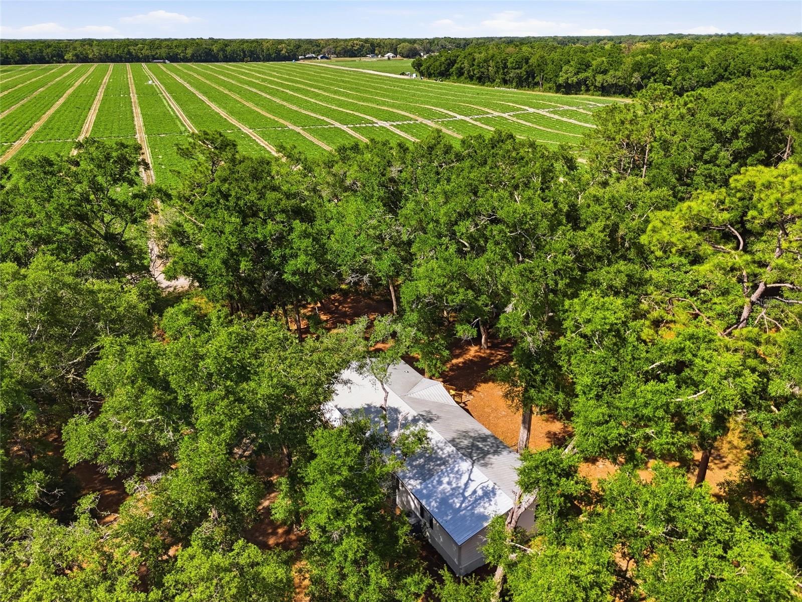 CORTEZ ACRES - Residential