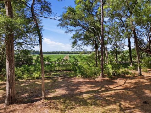 Tiny photo for 7651 NW 153rd Lane, Chiefland, FL 32626 (MLS # GC540158)