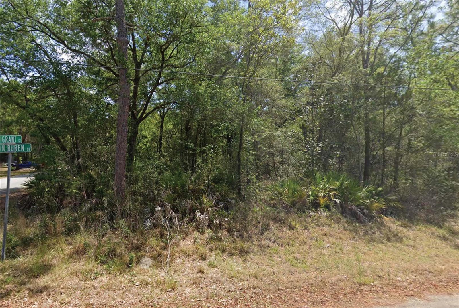 HOMOSASSA UNIT 10 - Land