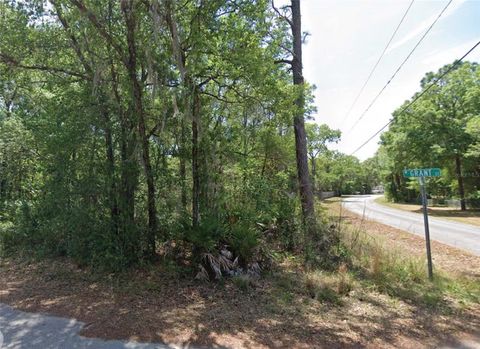 6634 W GRANT STREET HOMOSASSA FL 34448