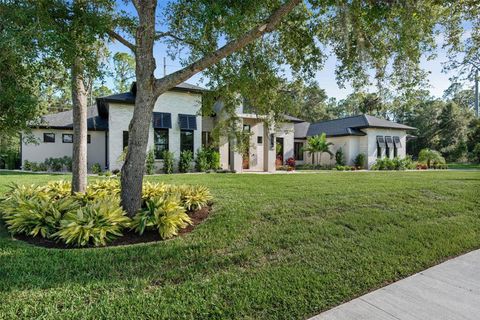 Photo of 3106 Crossing Pine Lane, New Smyrna Beach, FL 32168 (MLS # NS1086361) Photo of 3106 Crossing Pine Lane, New Smyrna Beach, FL 32168 (MLS # NS1086361)