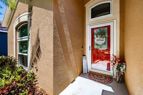 A home in APOLLO BEACH