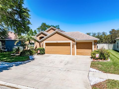 A home in APOLLO BEACH