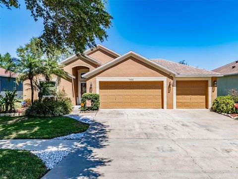 A home in APOLLO BEACH