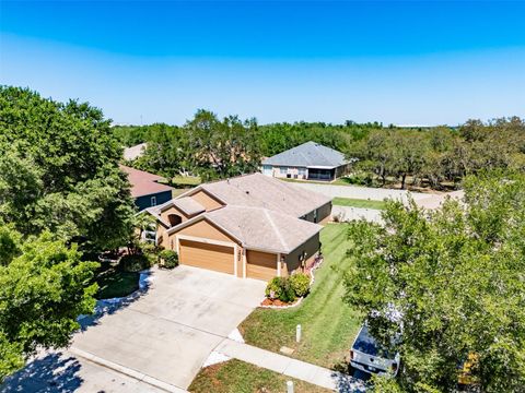 A home in APOLLO BEACH