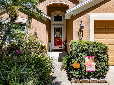 A home in APOLLO BEACH