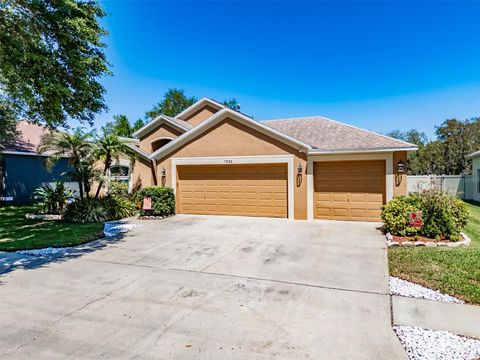 A home in APOLLO BEACH