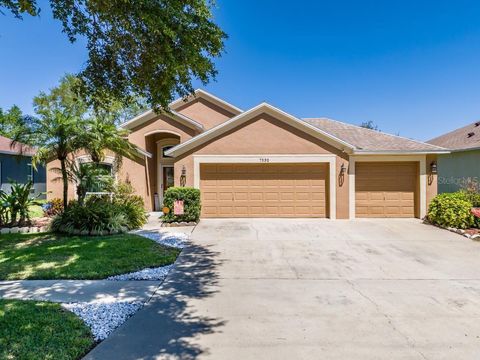 A home in APOLLO BEACH