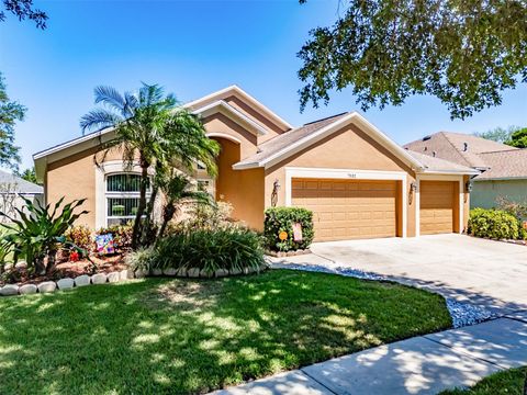 A home in APOLLO BEACH