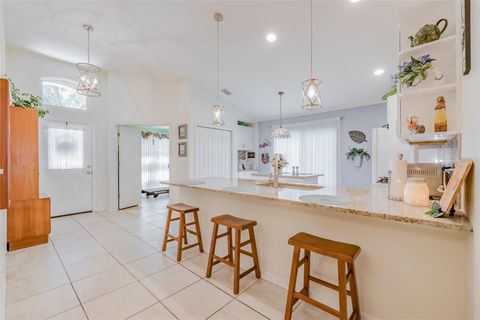 A home in APOLLO BEACH