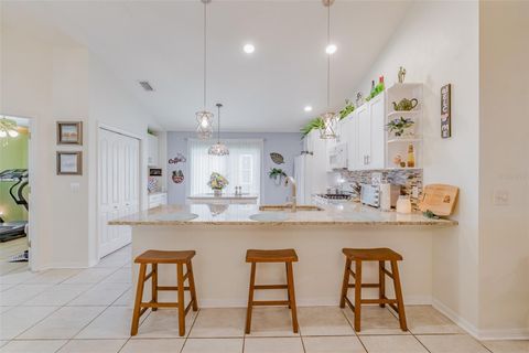 A home in APOLLO BEACH