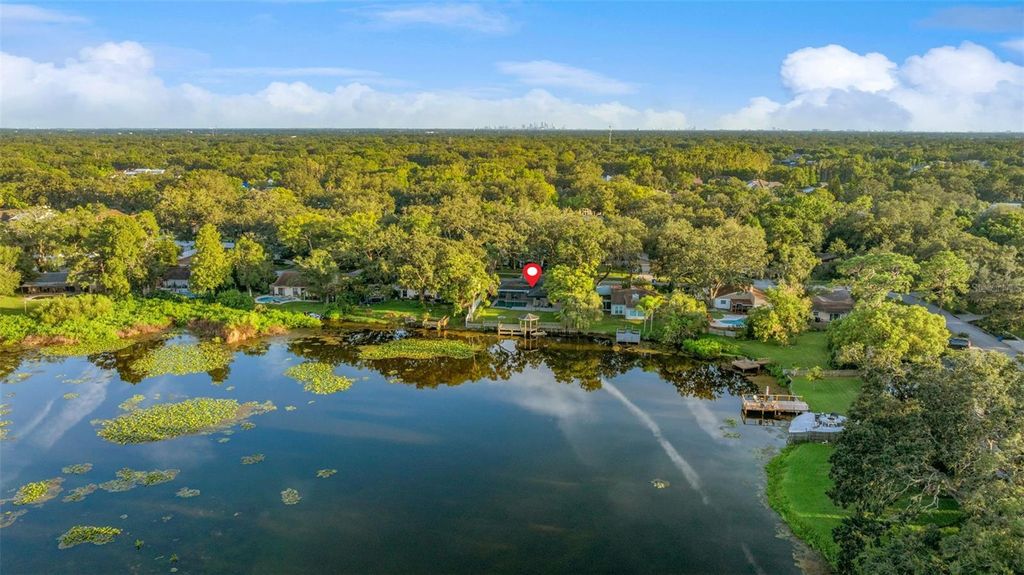 Photo of 1005 Samy Drive, Tampa, FL 33613 (MLS # TB8420761)