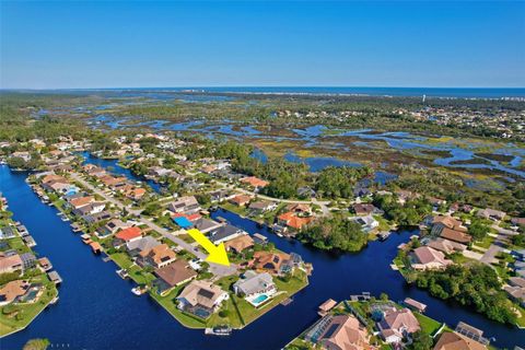 A home in PALM COAST