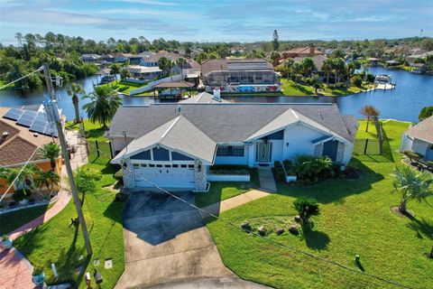 A home in PALM COAST