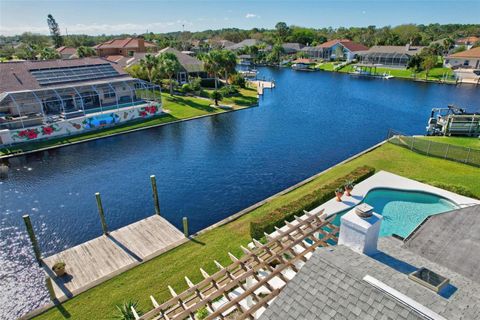 A home in PALM COAST