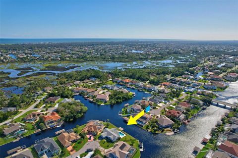 A home in PALM COAST