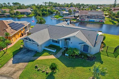 A home in PALM COAST