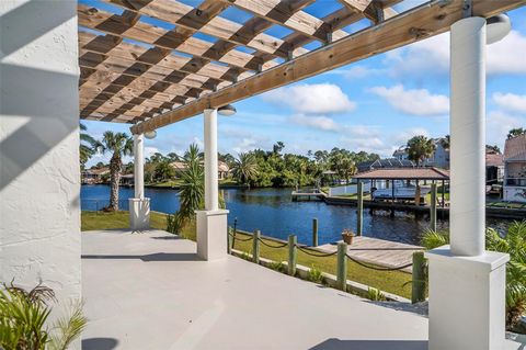 A home in PALM COAST