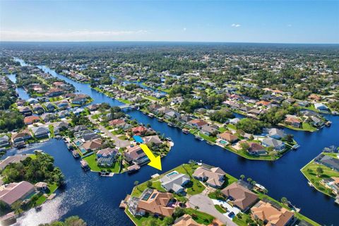 A home in PALM COAST