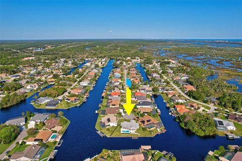 A home in PALM COAST