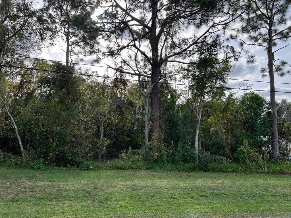Photo of New Port Richey, FL 34654 (MLS # TB8318934)