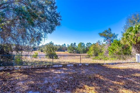 Tiny photo for 16880 SE 63rd Lane, Ocklawaha, FL 32179 (MLS # O6404210)