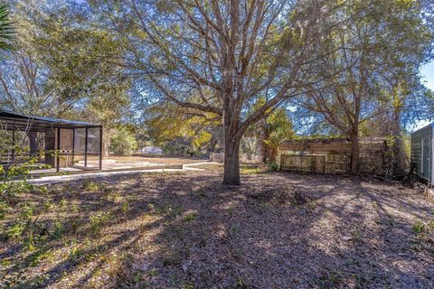 Tiny photo for 16880 SE 63rd Lane, Ocklawaha, FL 32179 (MLS # O6404210)