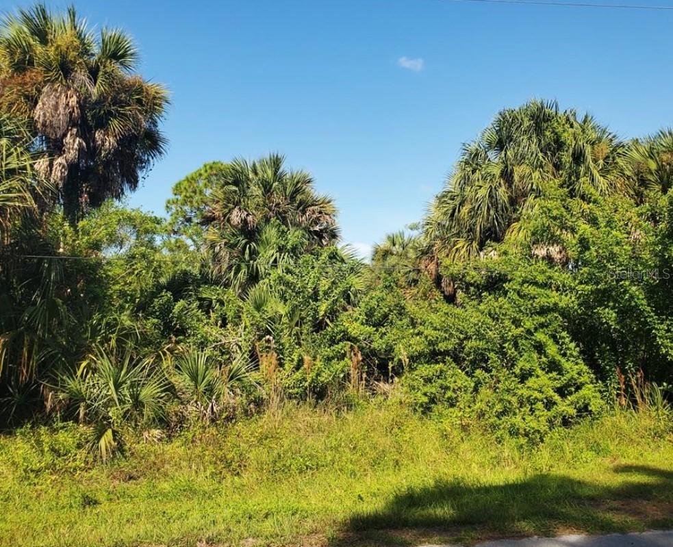 Photo of 12274 Defender Drive, Port Charlotte, FL 33953 (MLS # C7532346)
