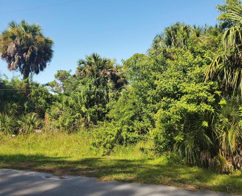 Photo of 12274 Defender Drive, Port Charlotte, FL 33953 (MLS # C7532346)