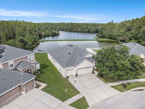 Photo of 3355 Chessington Drive, Land O Lakes, FL 34638 (MLS # TB8428443)