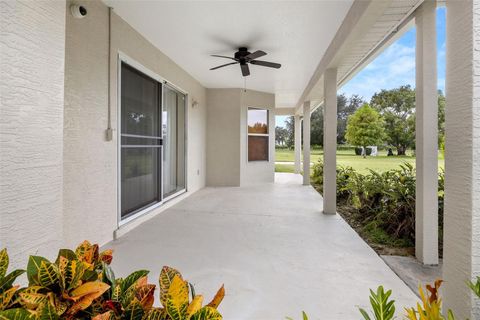 A home in MOUNT DORA