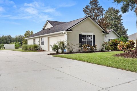 A home in MOUNT DORA