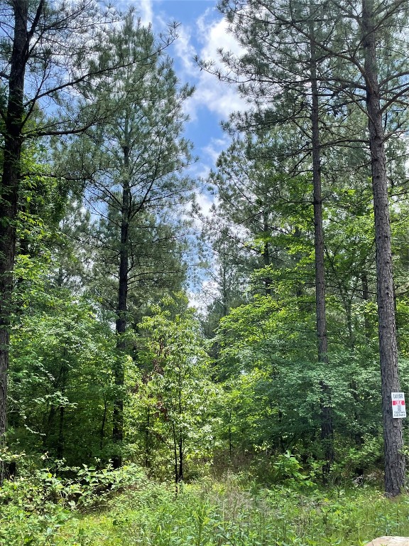 Photo 1 of 4 — 690 Timber Creek Trails South XI, Broken Bow, OK 74728