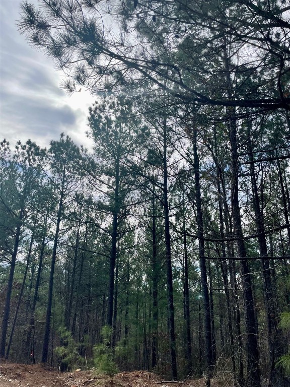 Photo 1 of 6 — 777 Timber Creek Trails South XI, Broken Bow, OK 74728