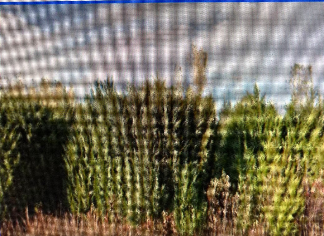 Photo 1 of 2 — 12791 NE 63rd Street, Jones, OK 73049