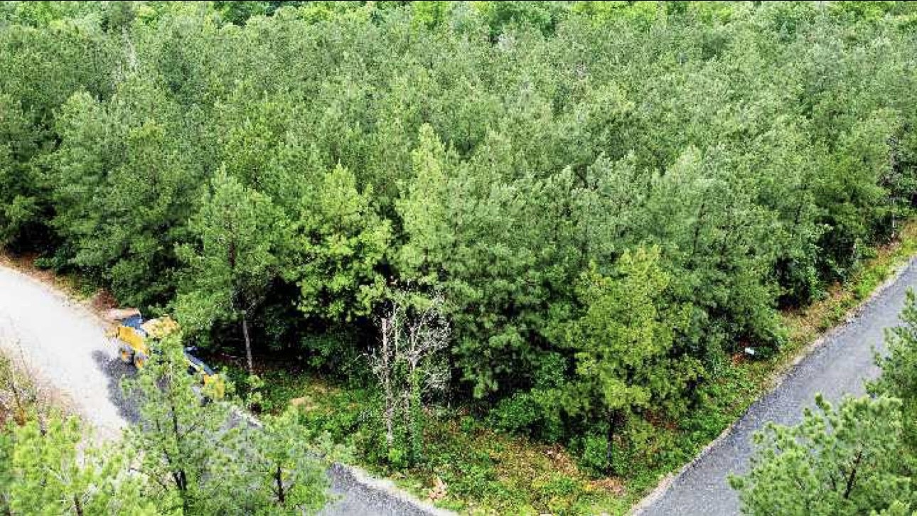 Photo 1 of 4 — 25 Mission Fig Trail, Broken Bow, OK 74728