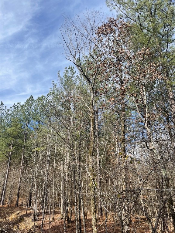 Photo 1 of 5 — 773 Timber Creek Trails South XI, Broken Bow, OK 74728