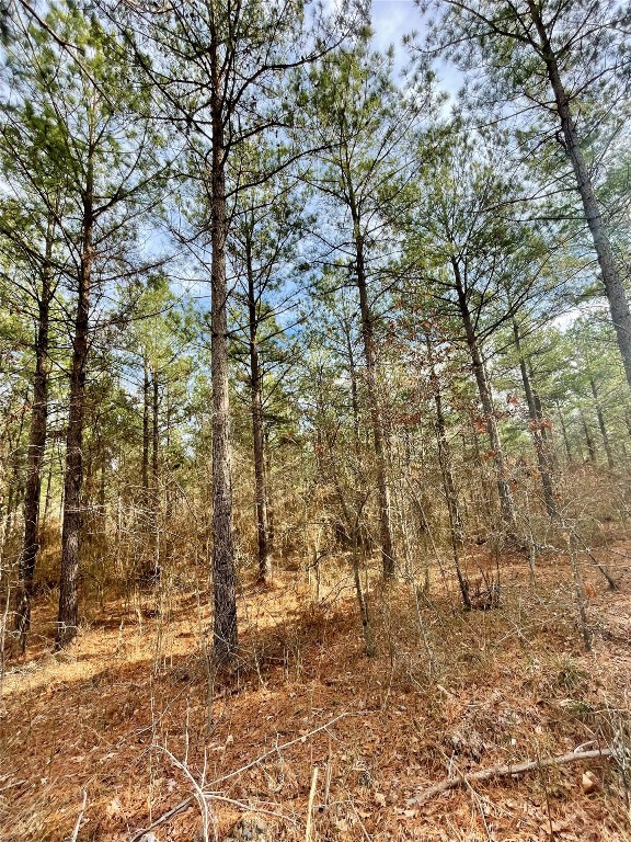 Photo 1 of 5 — 744 Timber Creek Trails South XI, Broken Bow, OK 74728