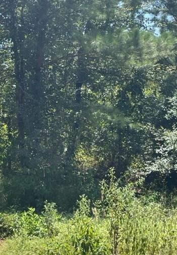 Photo 1 of 4 — 214 Top Notch Lane, Broken Bow, OK 74728