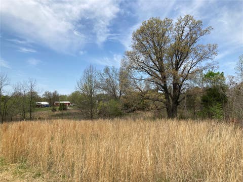 Featured picture for the property 1163527