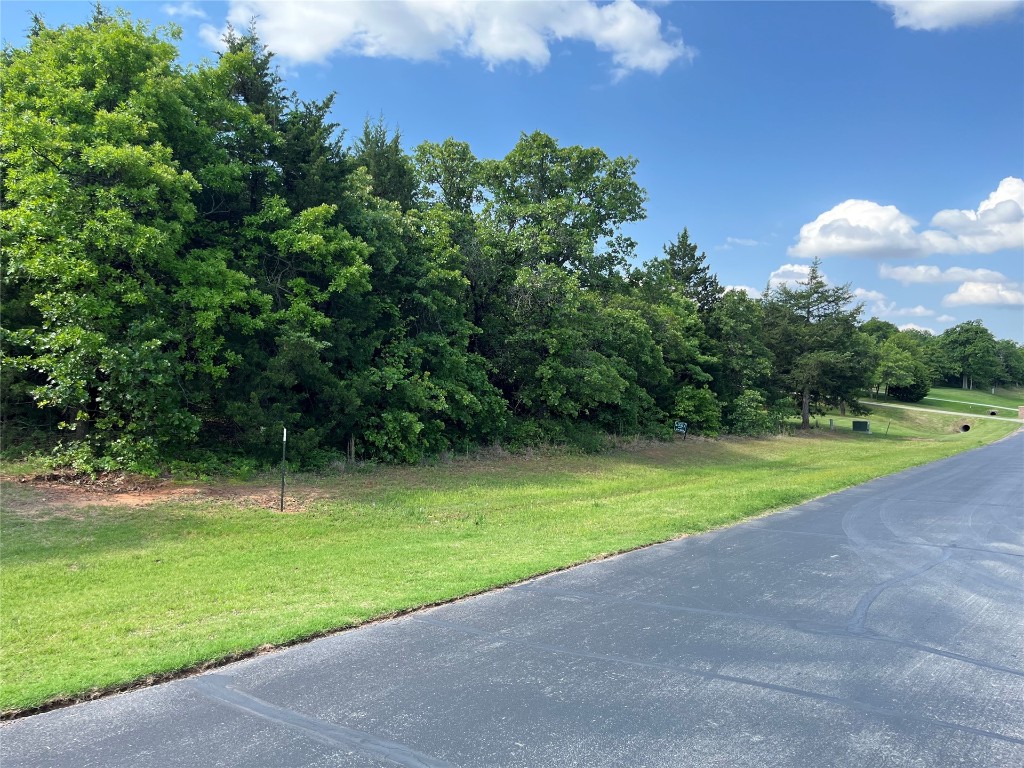 View Looking West from the Street Side of Tract