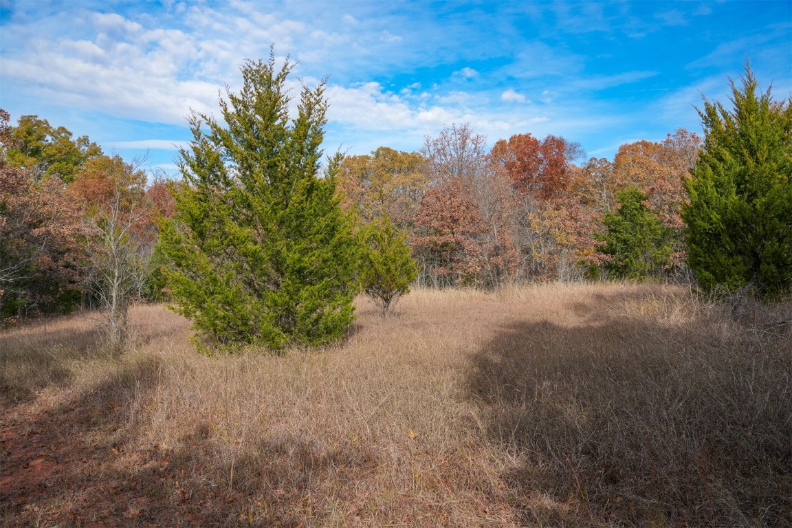 Macomb, Oklahoma 74852, United States, ,Land,Active,29950