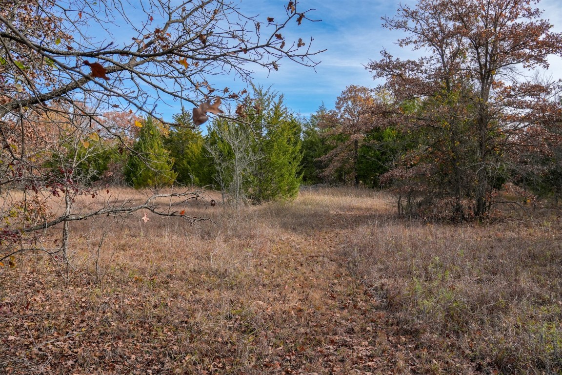 Macomb, Oklahoma 74852, United States, ,Land,Active,29950